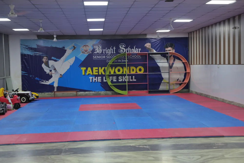 The taekwondo hall, its mats laid out under the mural