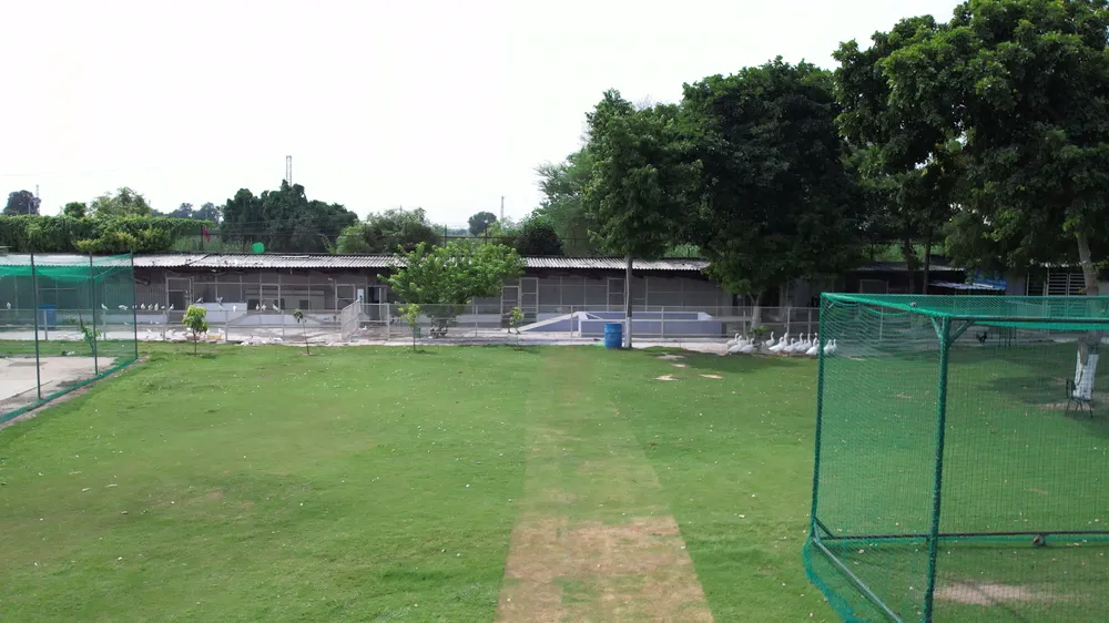 The cricket pitch and the practice nets