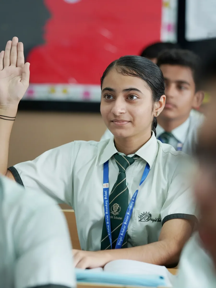 A student with a hand raised in class